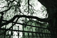 /album/www-pix-fx-de/kopie-von-bild-1374-jpg/